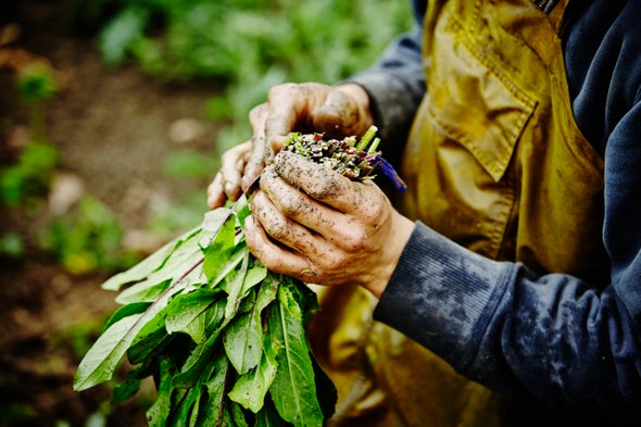 The Facts About Pestcides In Organic Farming Revealed