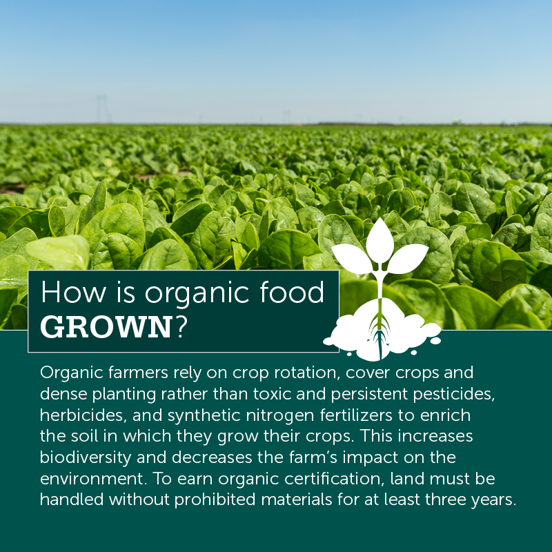 9 Easy Facts About Wait, Organic Farmers Use Pesticides? Explained